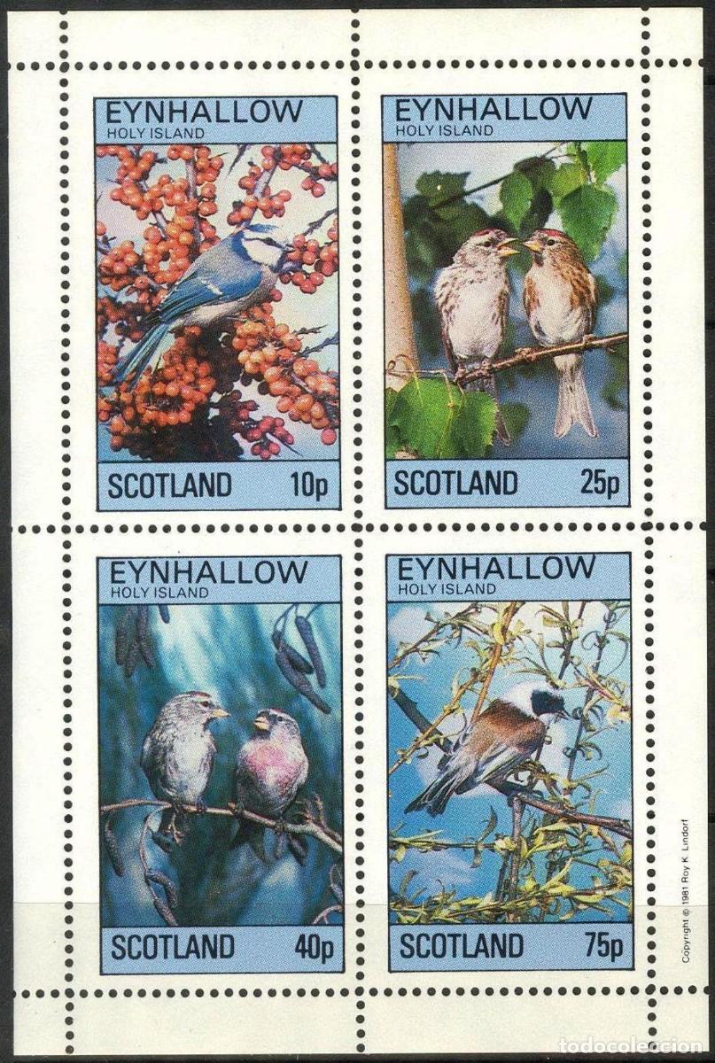 Sellos: GB LOCAL EYNHALLOW 1981 SHEET MNH FAUNA AVES BIRDS PAJAROS OISEAUX UCCELLI PASSAROS VOGELS