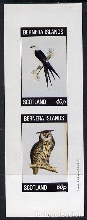Sellos: GB LOCAL BERNERA 1982 SHEET MNH IMPERF FAUNA AVES BIRDS PAJAROS OISEAUX UCCELLI PASSAROS VOGELS
