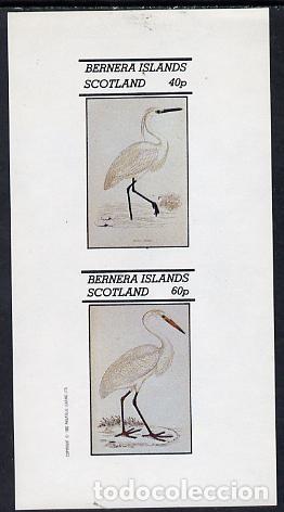 Sellos: GB LOCAL BERNERA 1982 SHEET MNH IMPERF FAUNA AVES BIRDS PAJAROS OISEAUX UCCELLI PASSAROS VOGELS