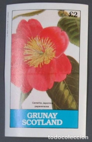 Sellos: GB LOCAL GRUNAY 1982 SHEET MNH CAMELIAS FLORES FLOWERS FLEURS FIORI BLUMEN