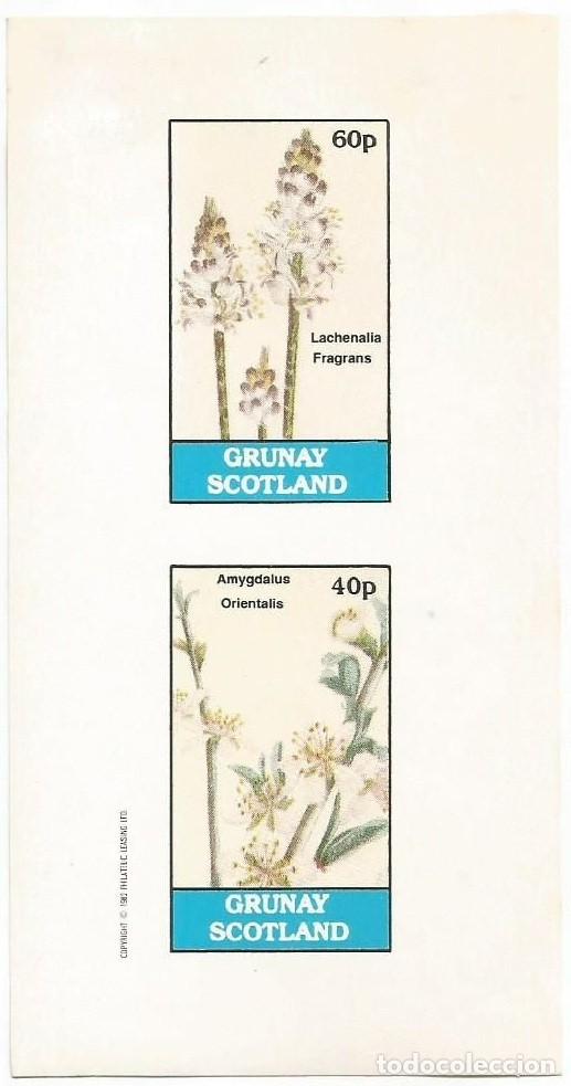 Sellos: GB LOCAL GRUNAY 1982 SHEET MNH IMPERF FLORES FLOWERS FLEURS FIORI BLUMEN