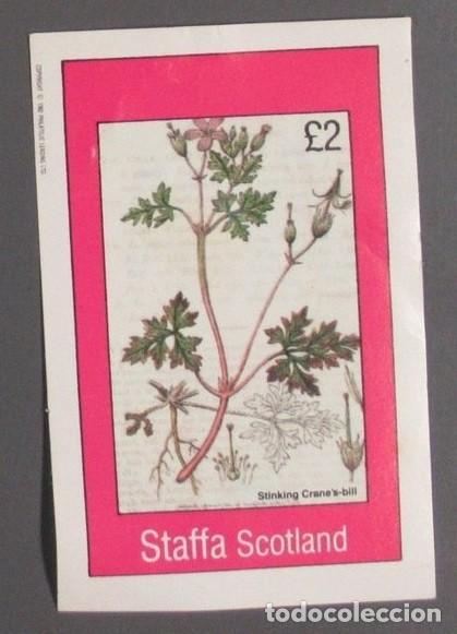 Sellos: GB LOCAL STAFFA 1982 SHEET MNH FLORES FLOWERS FLEURS FIORI BLUMEN PLANTAS PLANTS PLANTES PFLANZEN
