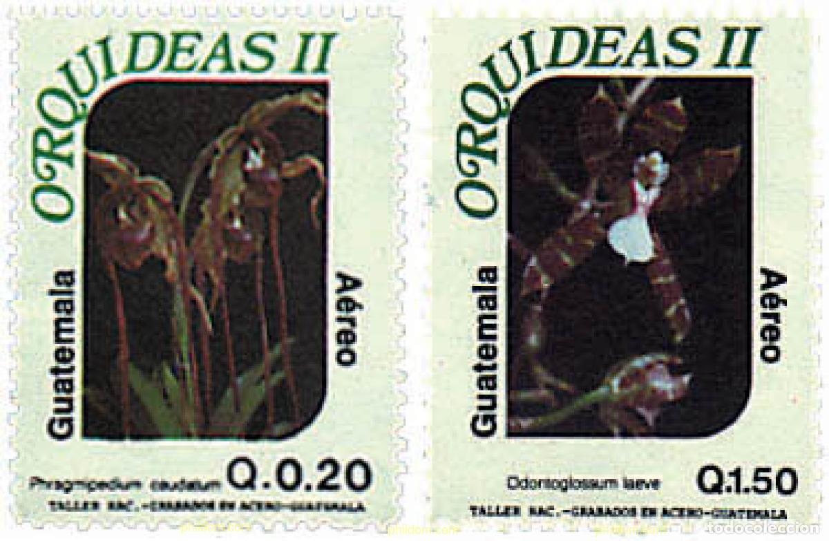 Sellos: 91725 MNH GUATEMALA 1996 ORQUIDEAS