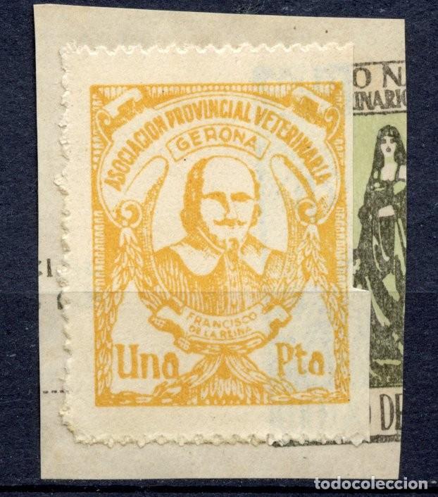 Briefmarken: GIRONA - GERONA. SELLO DEL COLEGIO PROVINCIAL DE VETERINARIOS 1 PTA AMARILLO SOBRE FRAGMENTO