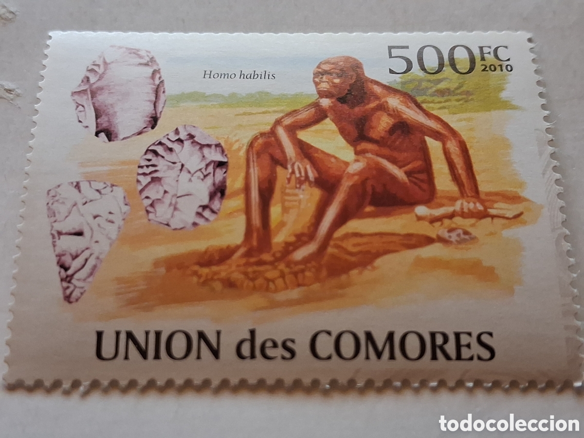 Sellos: Sello Comoras nuevo 2010. Hombre prehistorico. Australopithecus. Ssapiens. Habilis. Xiles. Herramien