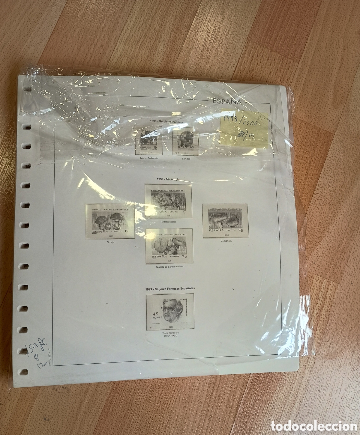 Sellos: ESPA&Ntilde;A - HOJAS DE &Aacute;LBUM ANFIL SUPLEMENTOS A&Ntilde;OS 1993/2000 - MONTADAS EN TRANSPARENTE