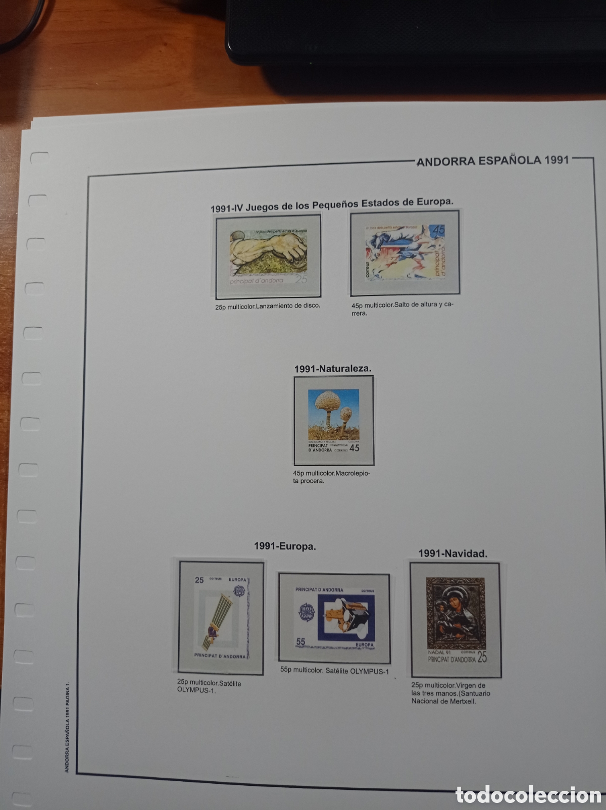 Sellos: Suplemento de Andorra 1991 anilla el&iacute;ptica montado blanco nuevo a estrenar