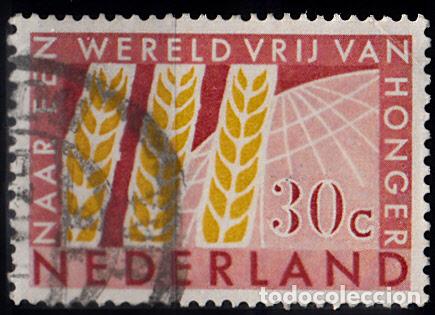 Sellos: HOLANDA 1963. YVERT 768 USADO. - Foto 1