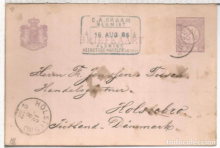 Sellos: HOLANDA ENTERO POSTAL HAARLEM 1996 - Foto 1