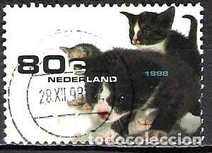 Sellos: HOLANDA 1998 - USADO - Foto 1
