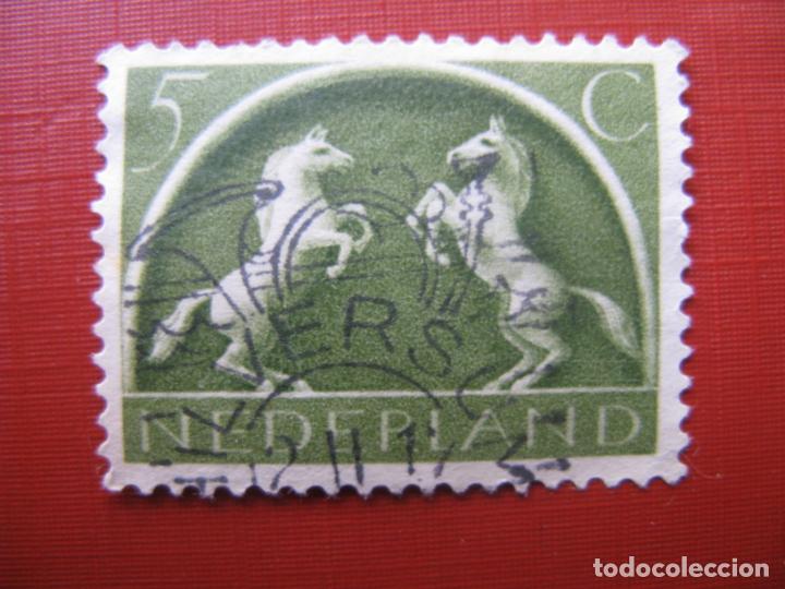 Sellos: -holanda 1943, Yvert 401 - Foto 1