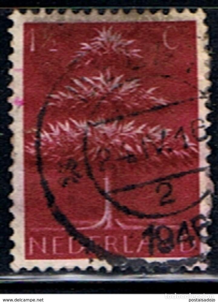 Sellos: HOLANDA // YVERT 396 // 1943 ... USADO - Foto 1
