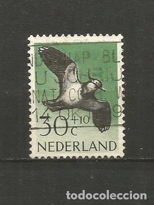 Sellos: HOLANDA YVERT NUM. 737 USADO - Foto 1