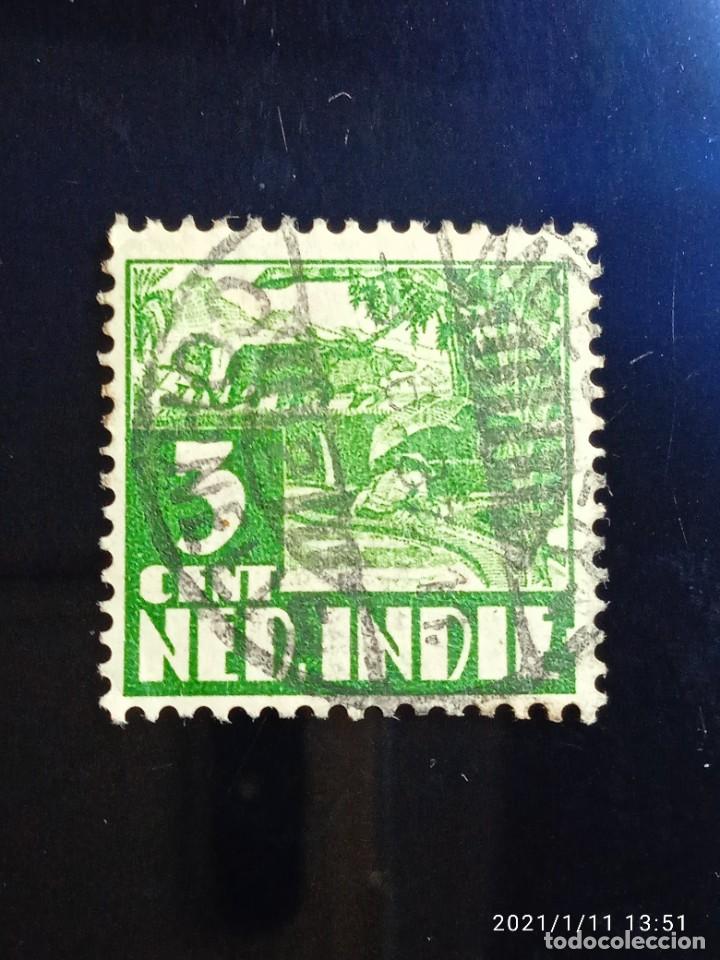 Sellos: HOLANDA INDIA, 3 CTS, ARANDO, A&Ntilde;O 1925. - Foto 1