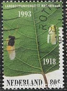 Sellos: PAISES BAJOS YVERT 1429 - Foto 1