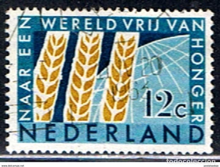 Sellos: HOLANDA // YVERT 767 // 1963 ... USADO - Foto 1