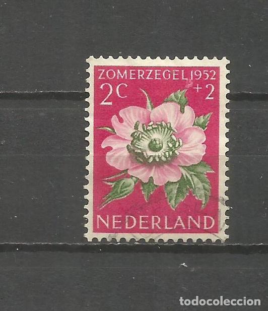 Sellos: HOLANDA YVERT NUM. 569 USADO - Foto 1