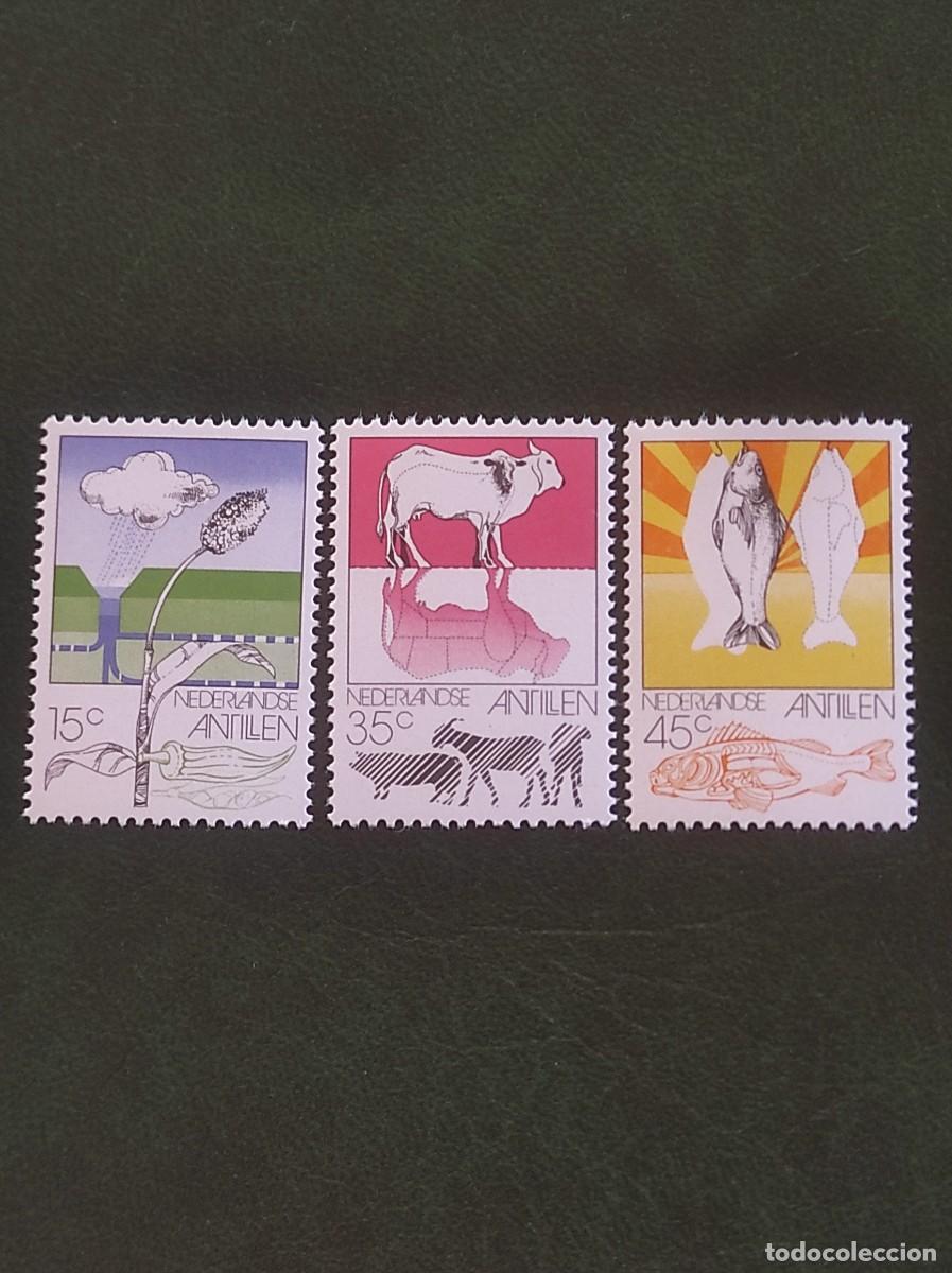 Sellos: 1976 Antillas Holandesas - Foto 1