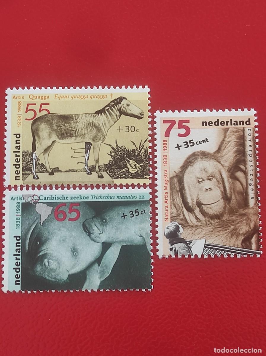 Sellos: 1988 Nederland - Foto 1