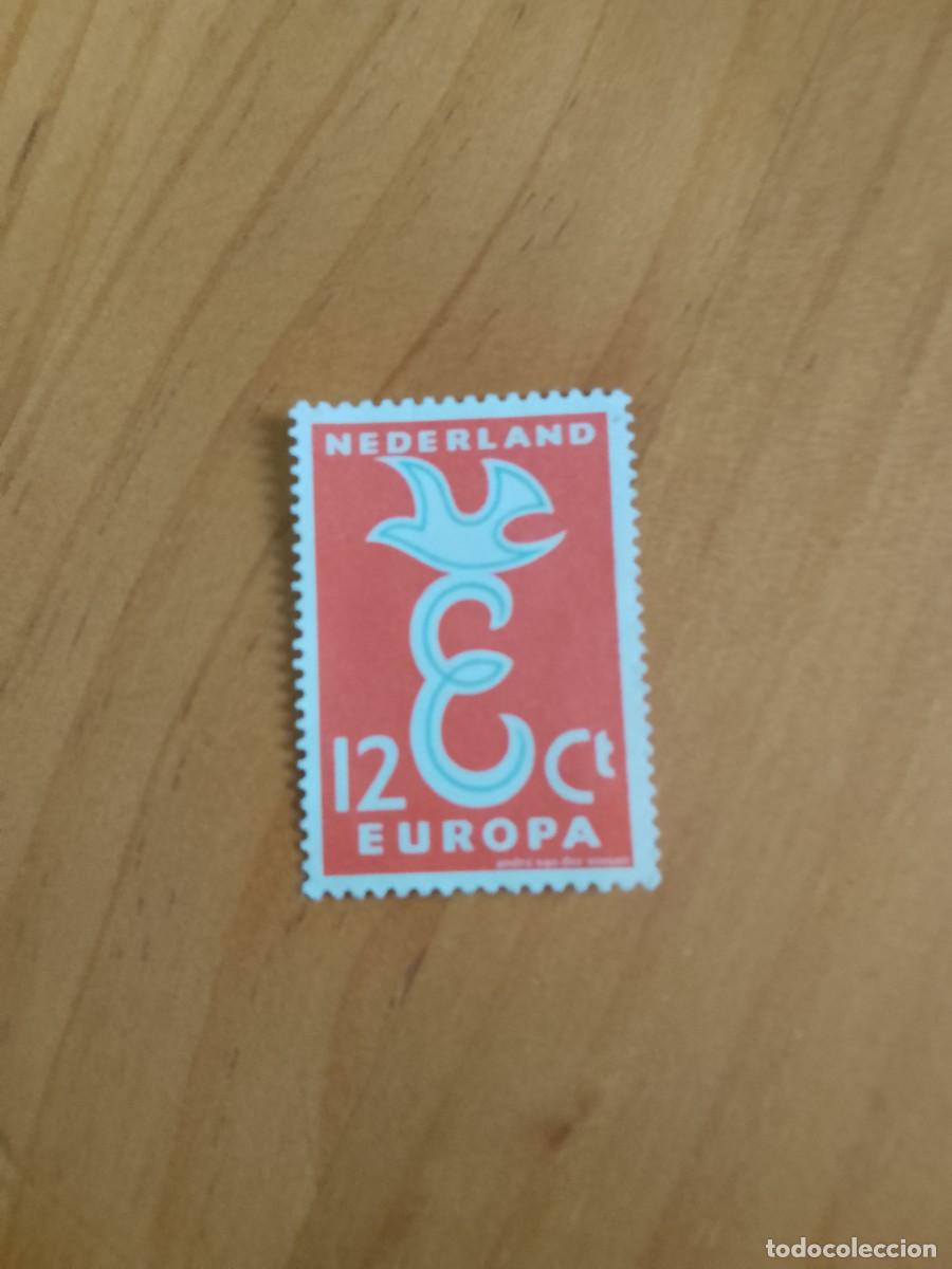 Sellos: HOLANDA - 12 C - EUROPA - Foto 1