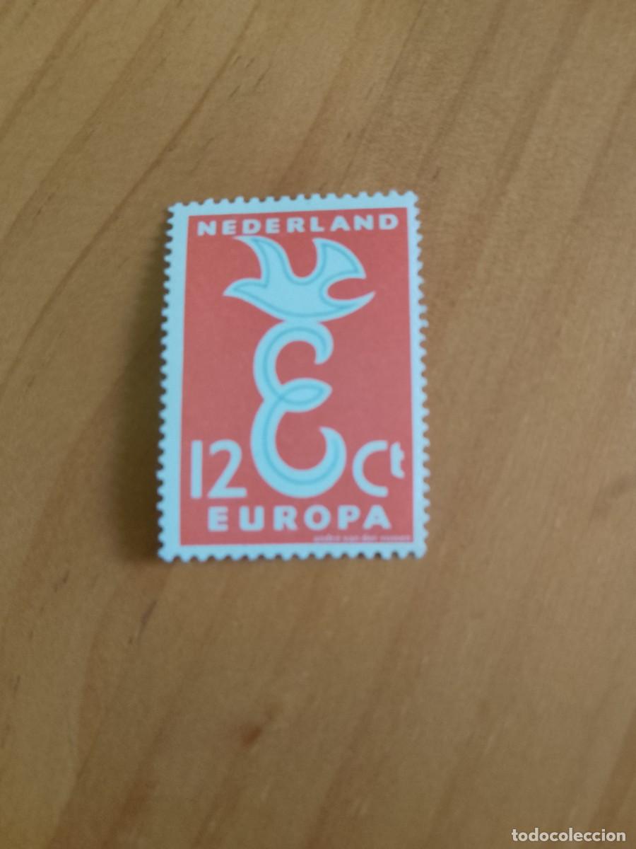 Sellos: HOLANDA - 12 C - EUROPA - Foto 1