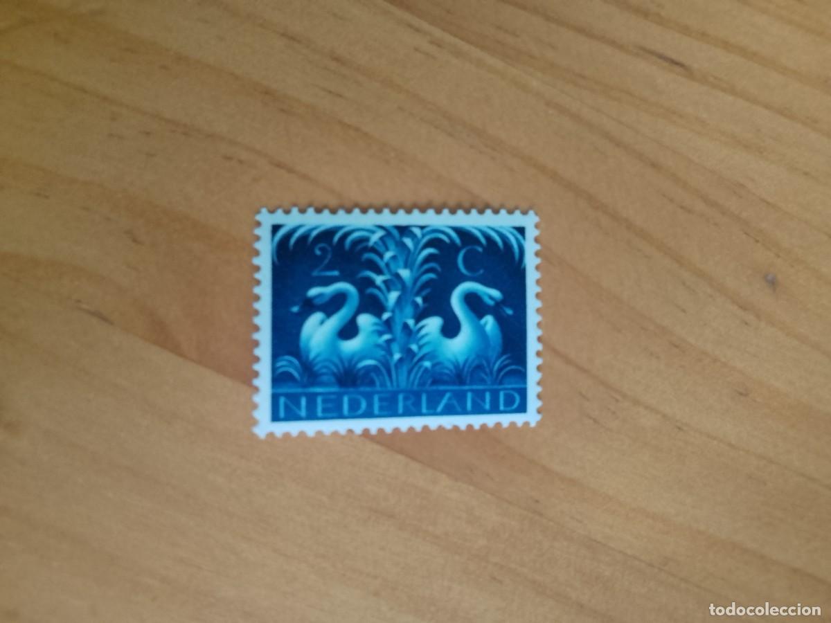 Sellos: HOLANDA - V/F 2 C - CISNES - Foto 1
