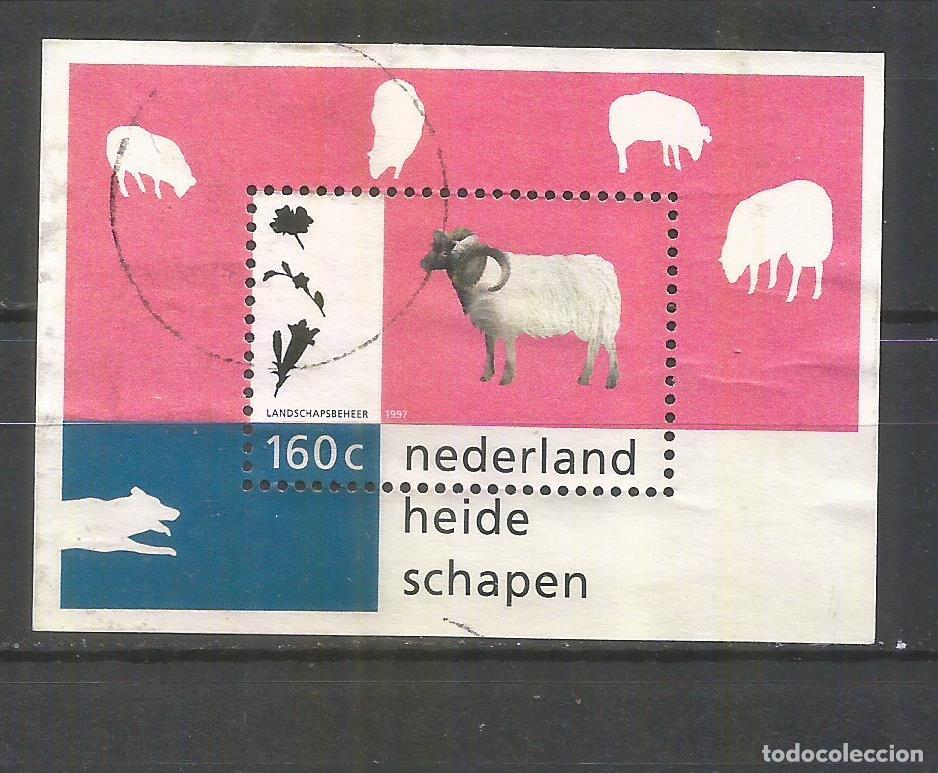 Sellos: HOLANDA HOJA BLOQUE YVERT NUM. 51 USADA - Foto 1