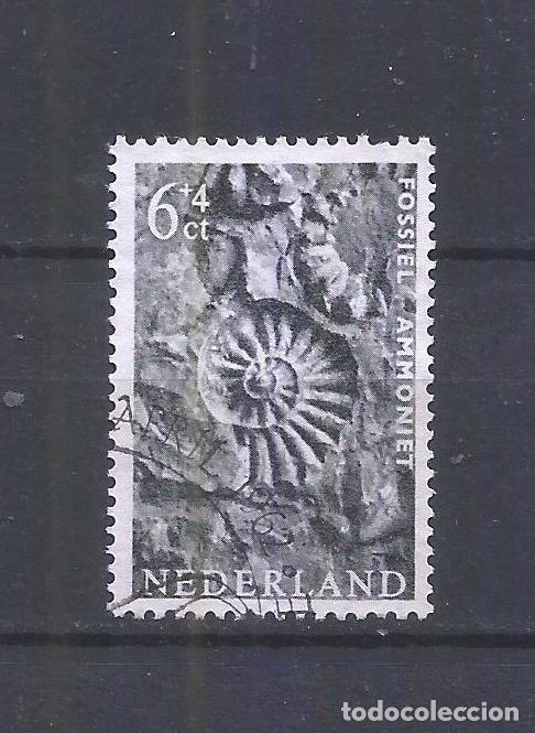 Sellos: HOLANDA YVERT NUM. 748 USADO - Foto 1