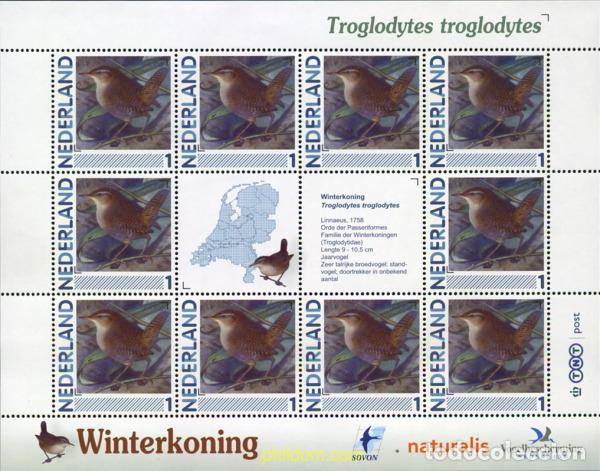 Sellos: 370343 MNH HOLANDA 2011 AVE - Foto 1