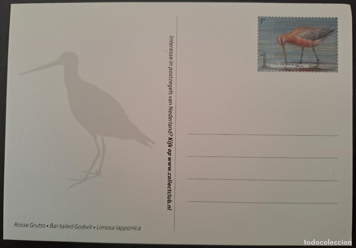 Sellos: Entero postal de Paises Bajos 2016 - Foto 2