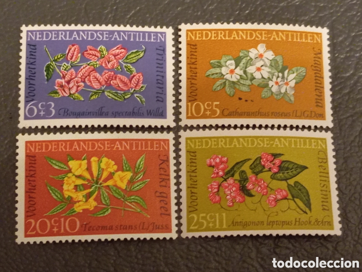 Sellos: ANTILLAS HOLANDESAS 332/35** - A&Ntilde;O 1964 - FLORA - FLORES
