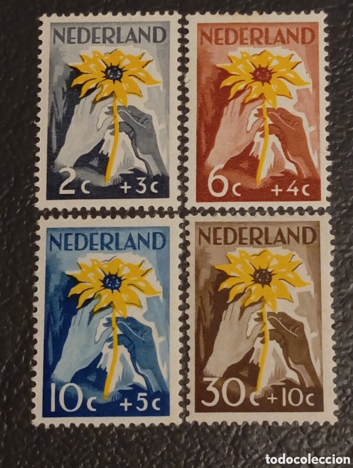 Sellos: Holanda 1949 Serie Completa Flores (NIWIN) MNH** - Scott B199/202