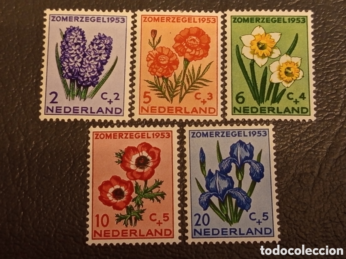 Sellos: Pa&iacute;ses Bajos 1953 - Serie Completa Flores (Zomerzegels) - MNH - Scott #B249-53 / NVPH #607-11
