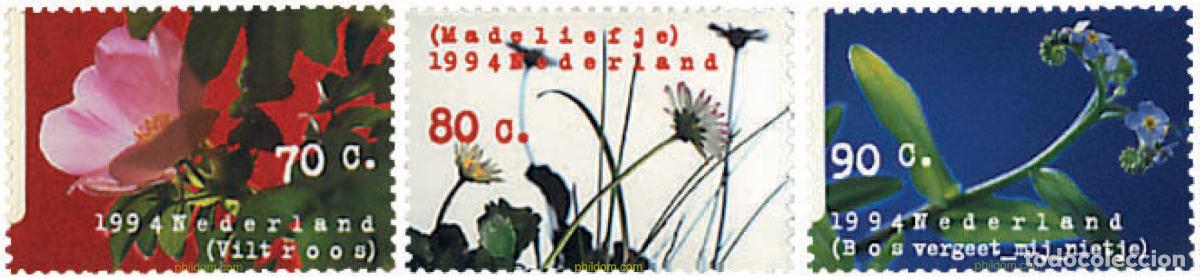 Sellos: 89429 MNH HOLANDA 1994 FLORES SILVESTRES DE HOLANDA