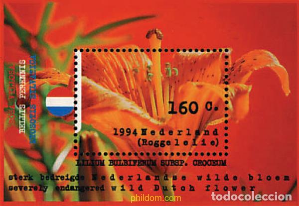 Sellos: 89430 MNH HOLANDA 1994 FLORES SILVESTRES DE HOLANDA
