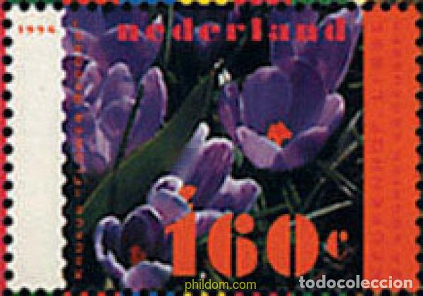 Sellos: 113114 MNH HOLANDA 1996 NATURALEZA Y MEDIO AMBIENTE