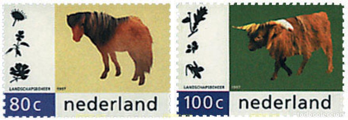 Sellos: 37188 MNH HOLANDA 1997 NATURALEZA Y MEDIO AMBIENTE
