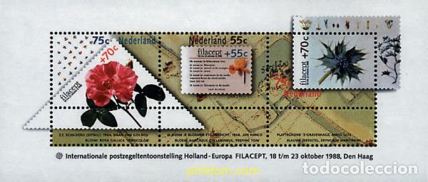 Sellos: 89410 MNH HOLANDA 1988 FILACEPT 88. EXPOSICION FILATELICA INTERNACIONAL