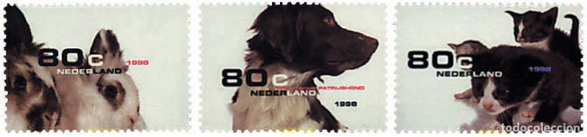 Sellos: 99591 MNH HOLANDA 1998 ANIMALES DOMESTICOS