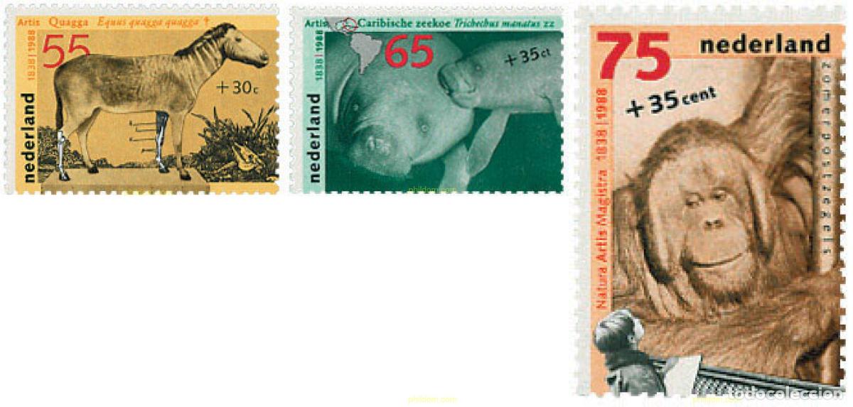 Sellos: 67895 MNH HOLANDA 1988 PRO OBRAS SOCIALES. 150 ANIVERSARIO DEL ZOO ARTIS