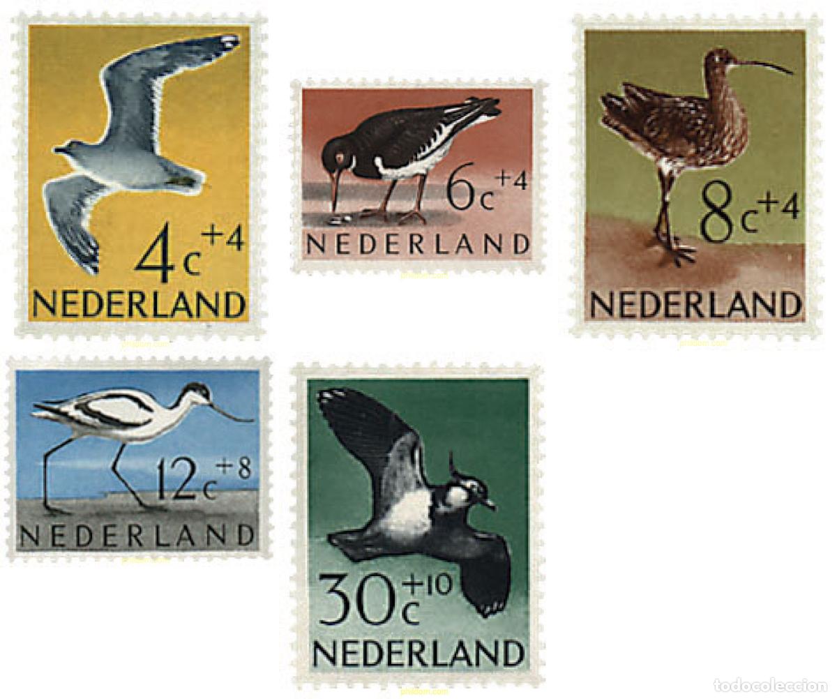Sellos: 213888 HINGED HOLANDA 1961 PRO INFANCIA - Foto 1