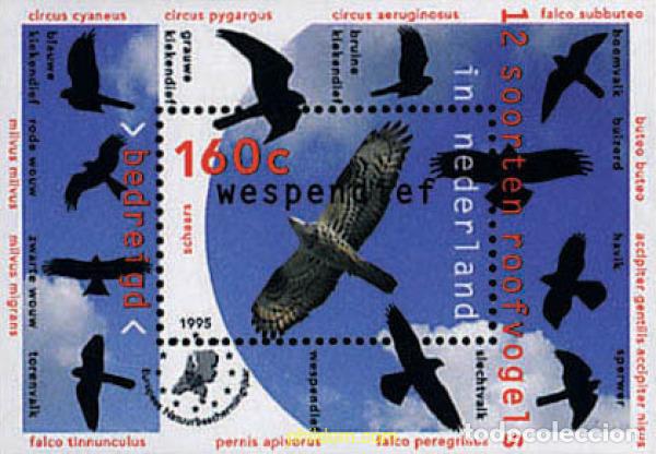 Sellos: 113111 MNH HOLANDA 1995 AVES RAPACES - Foto 1