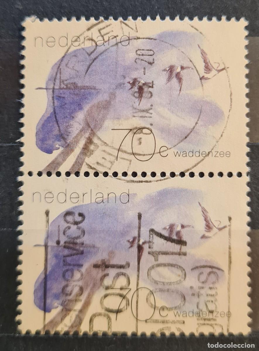 Sellos: Sellos usados de Paises Bajos 1982. El mar de Wadden: aves de la regi&oacute;n