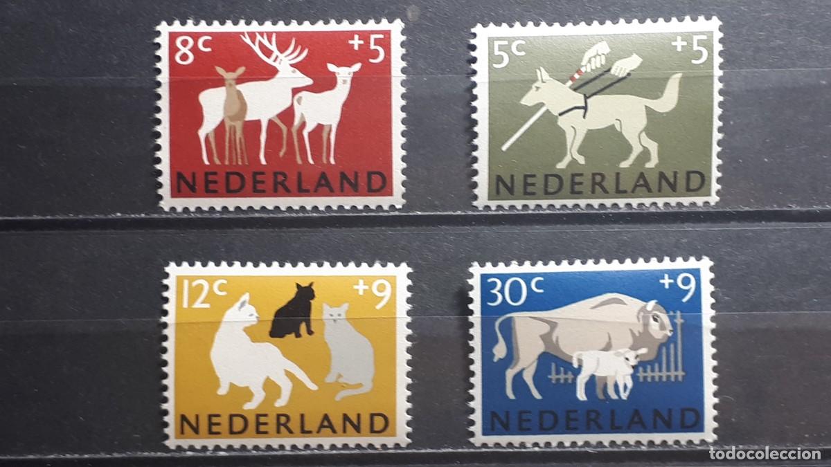 Sellos: HOLANDA. A&Ntilde;O 1964. **. YVERT 792/5