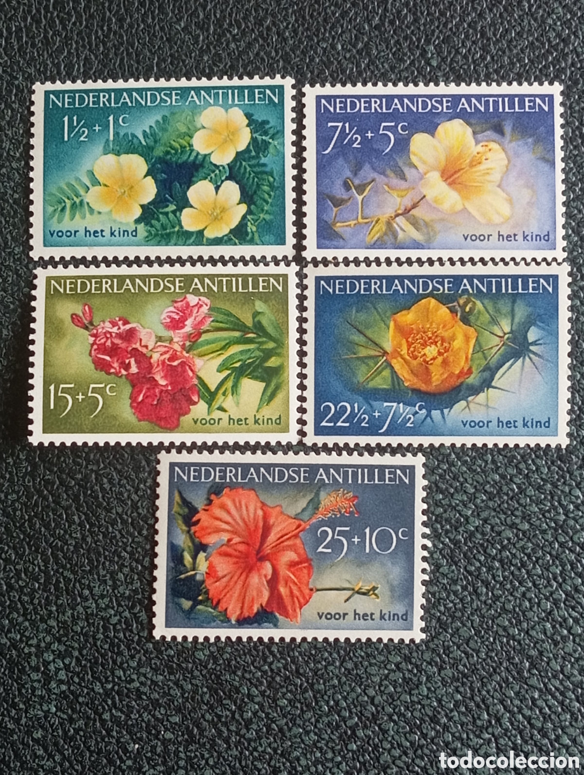 Sellos: Serie Sellos Antillas Neerlandesas 1955 Flores NVPH 248-252 / Scott B21-25 MNH**