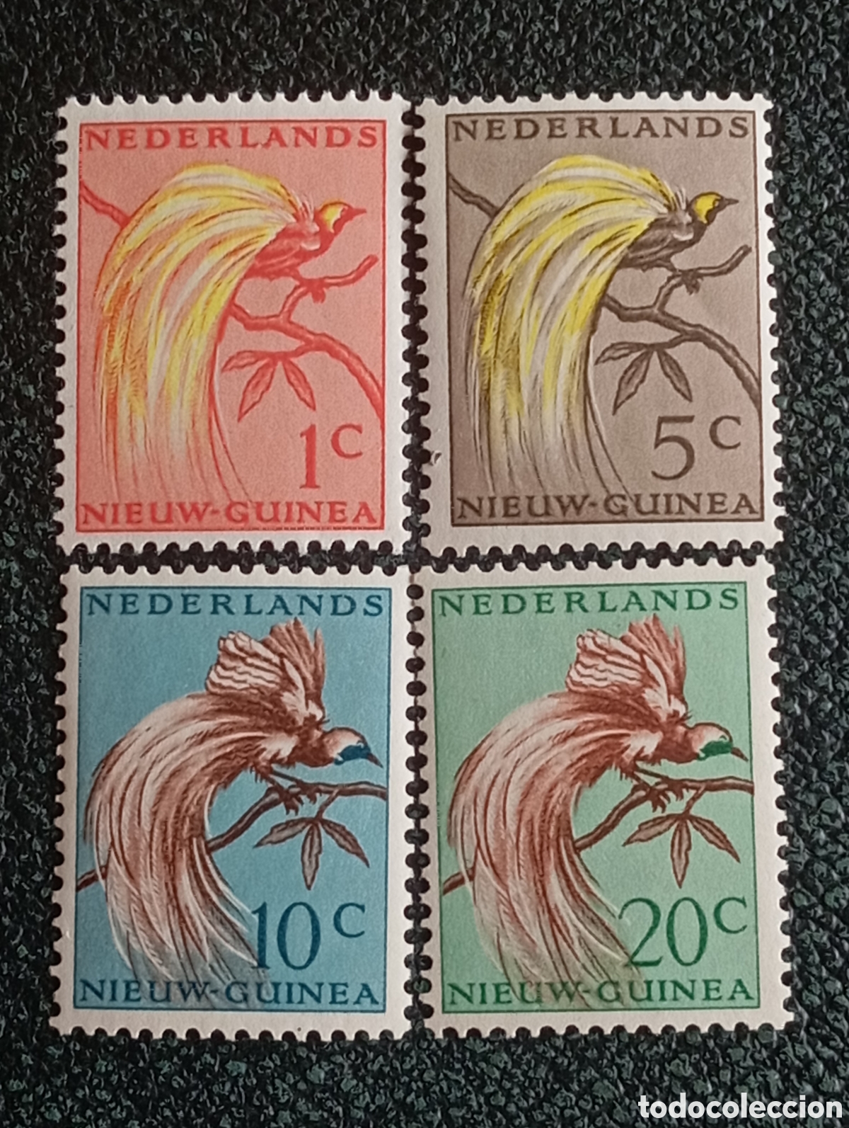 Sellos: Pa&iacute;ses Bajos Nueva Guinea 1954 Aves del Para&iacute;so Lote 4 Valores MNH Michel 22/26