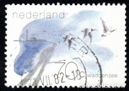 Sellos: Holanda. Mar de Wadden. P&aacute;jaros. 1982. YT-1180. Usado