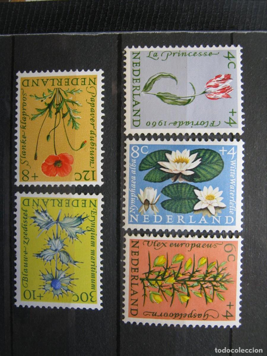 Sellos: HOLANDA 1960 FLORES SERIE YVERT 719/723 MNH** SIN CHARNELA LUJO.