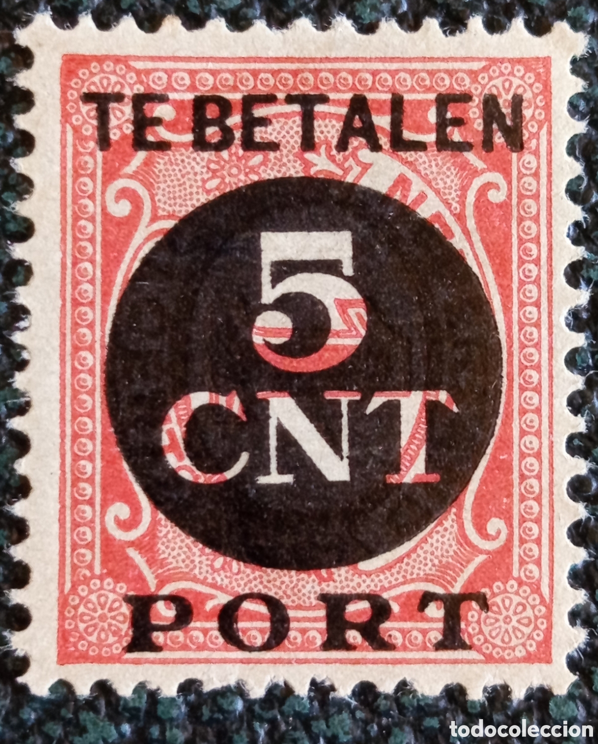 Sellos: Sello Holanda Pa&iacute;ses Bajos 1924 Tasa 5 C&eacute;ntimos Naranja MNH NVPH P66