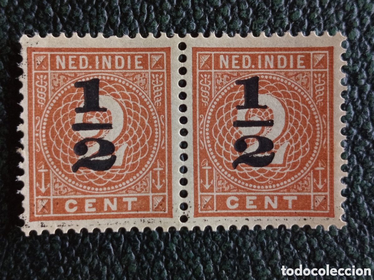 Sellos: Indias Orientales Holandesas 1900 Pareja Sobrecargo 1/2c sobre 2c Naranja MNH